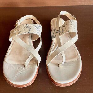 Cole Haan Snakeskin Sandals